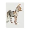 Trademark Fine Art Mark Adlington 'Waggle Arabian Wolf Pup' Canvas Art, 14x19 BL01761-C1419GG
